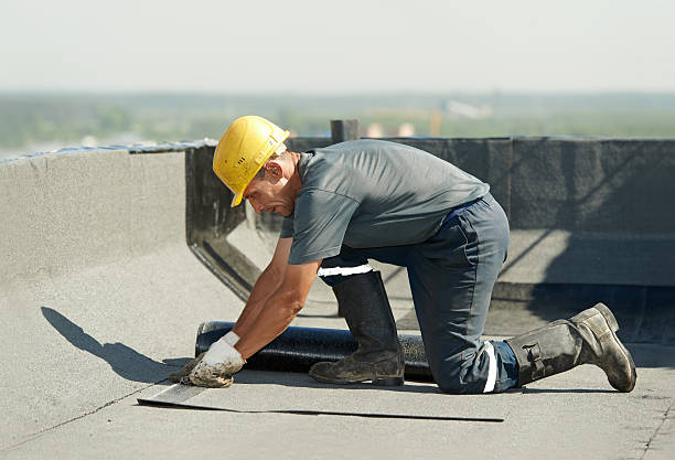 Best Insulation Removal  in Lexington, IL