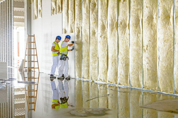 Best Spray Foam Insulation  in Lexington, IL